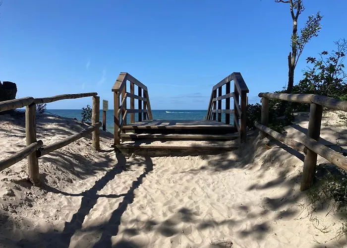 The * ポゴジェリツァ