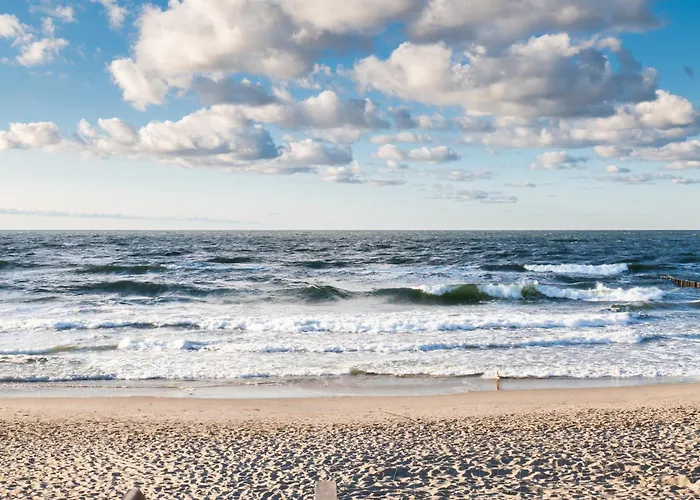 The * ポゴジェリツァ